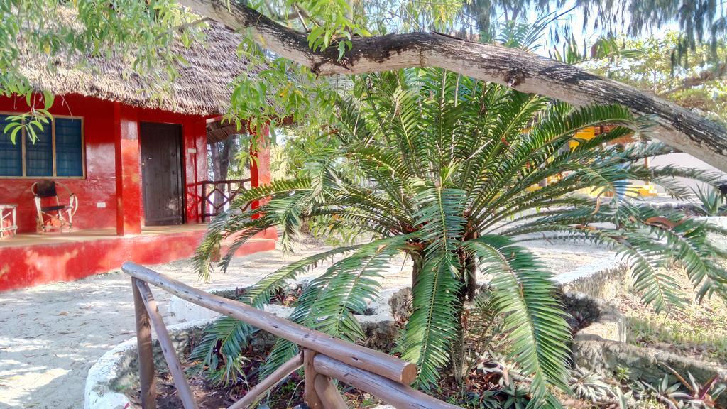 Twisted Palms Lodge & Restaurant Bwejuu Extérieur photo