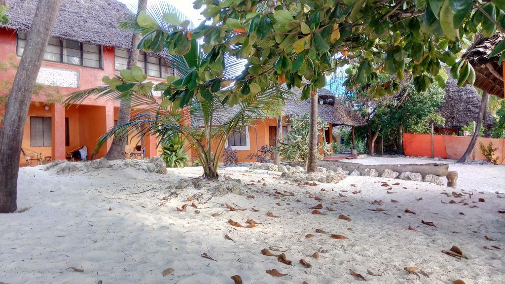 Twisted Palms Lodge & Restaurant Bwejuu Extérieur photo