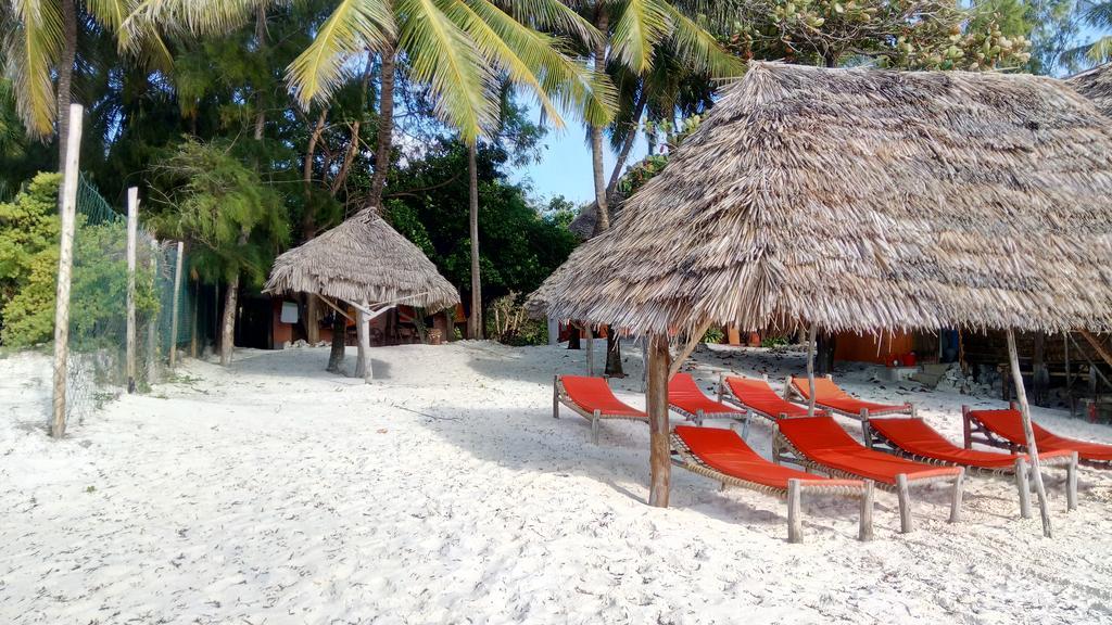 Twisted Palms Lodge & Restaurant Bwejuu Extérieur photo