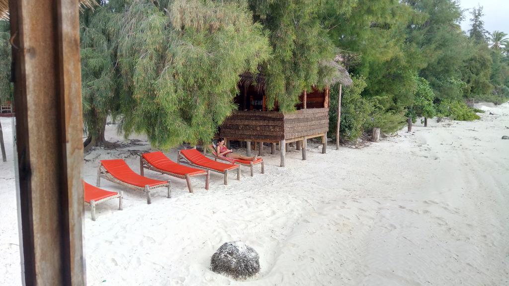 Twisted Palms Lodge & Restaurant Bwejuu Extérieur photo
